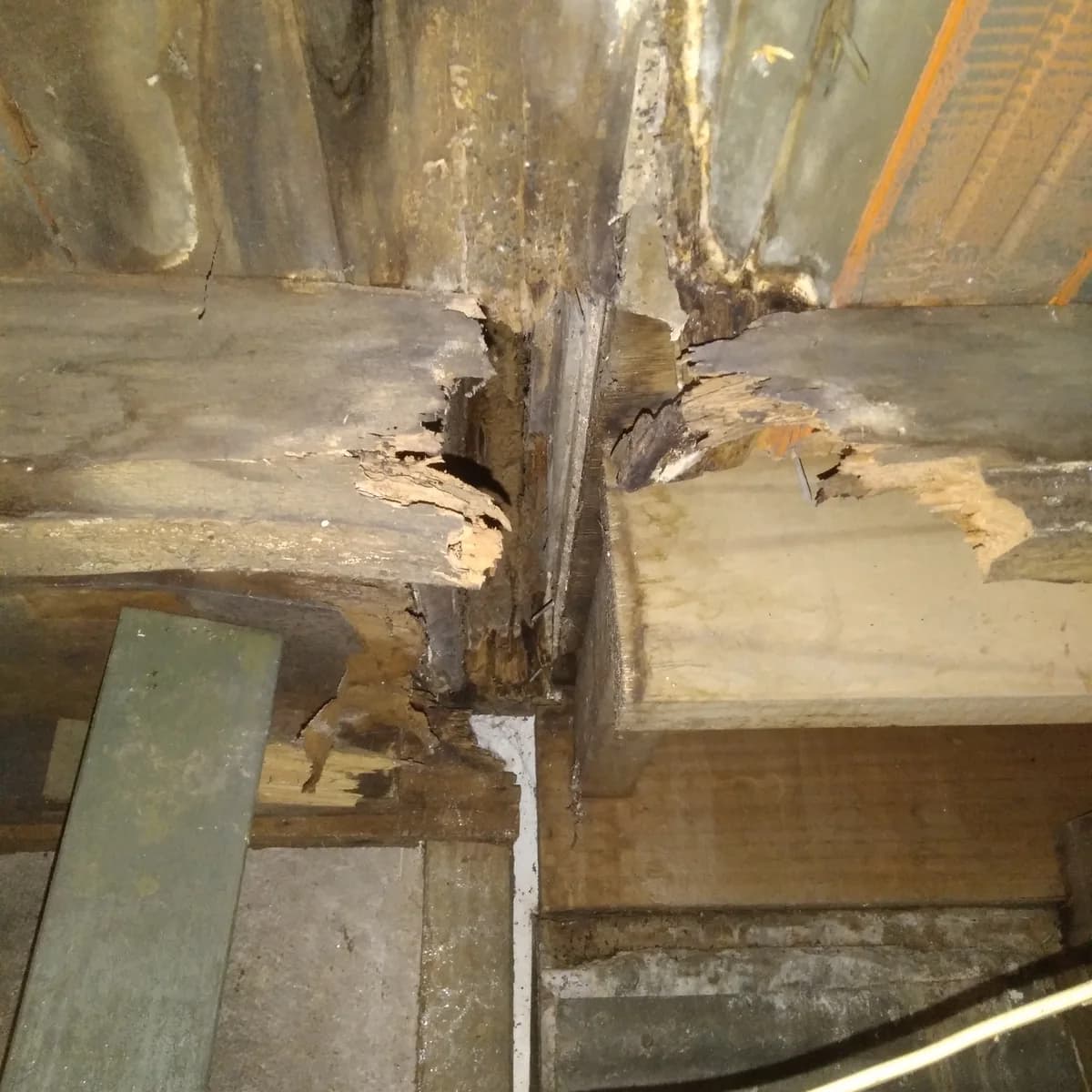 Deteriorated timber support in a subfloor